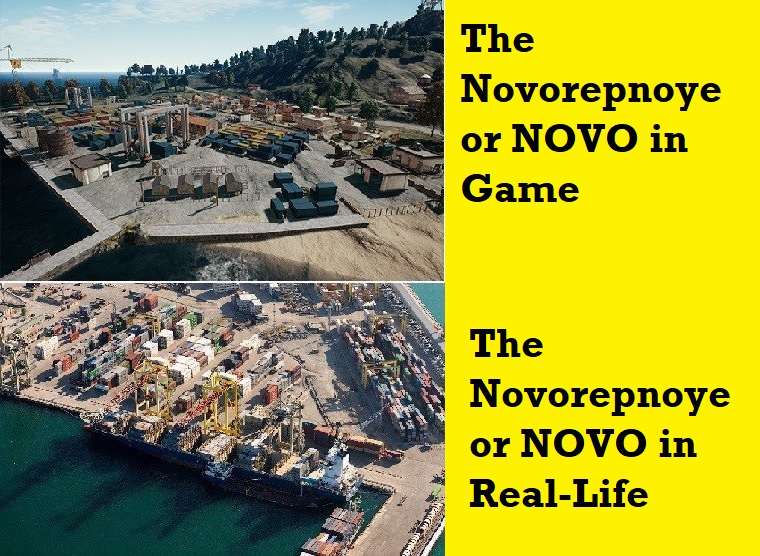 The Novorepnoye or NOVO in Real-Life