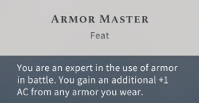 Solasta Armor Master