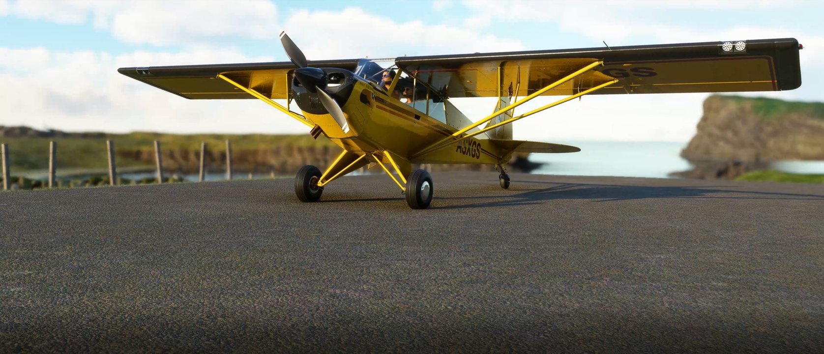 Microsoft Flight Simulator Husky A 1c new planes