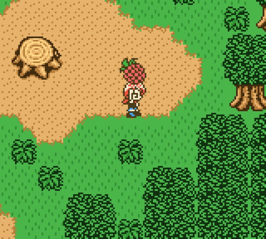 Harvest Moon GBC 2 (51)