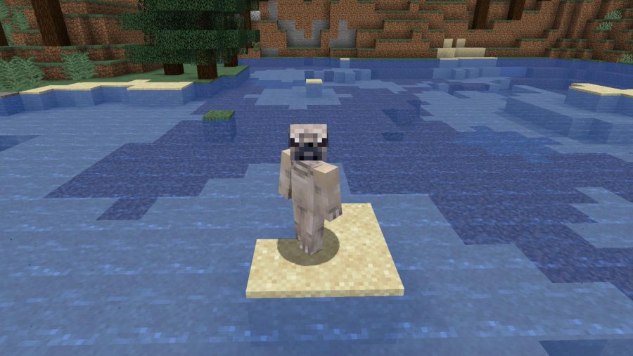 Minecraft skins pug