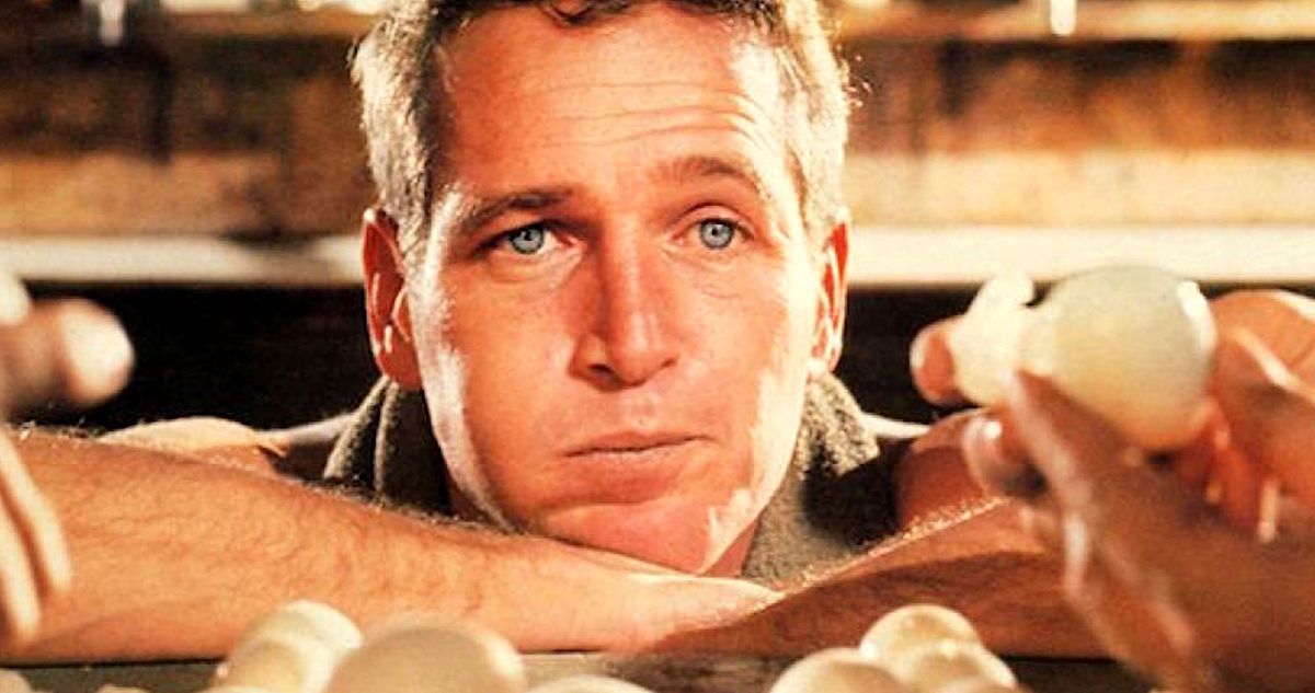 Paul Newman eats his way through a pile of eggs in 1967’s Cool Hand Luke