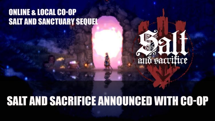 Salt and Sacrifice a Sequel to Salt and Sanctuary Announced with Co-op