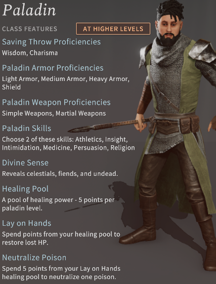 Solasta Paladin Class