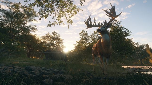 Avalanche's TheHunter series has taught the studio more about service-based games and supporting different communities, which will likely assit with Contraband