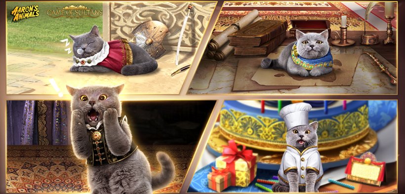 Game of Sultans cat