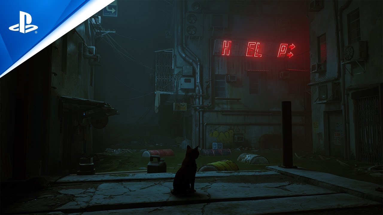 An in-depth look into the mysterious, futuristic world of Stray