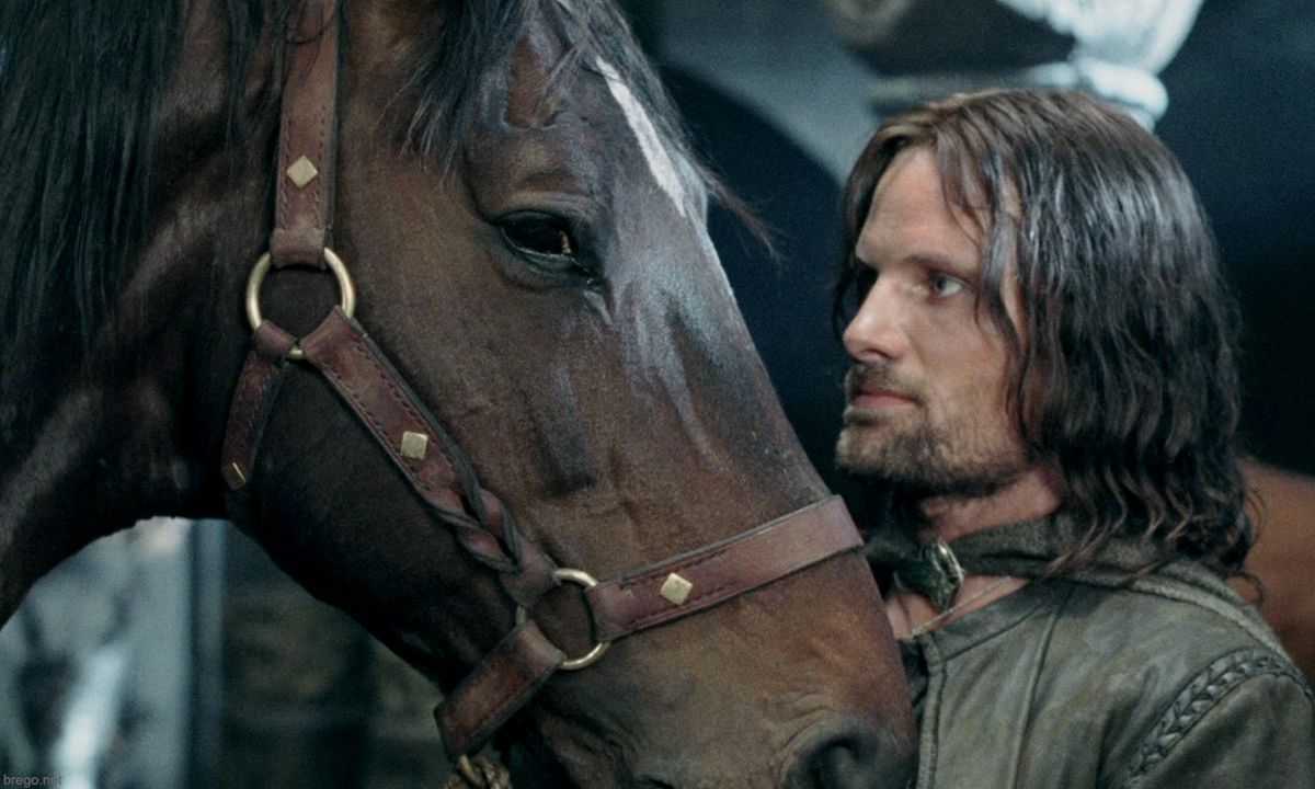 Aragorn looking at Brego