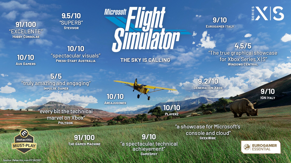 Microsoft Flight Sim Acclaim