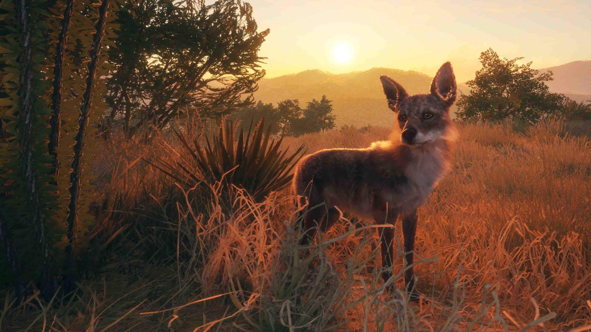 theHunter: Call of the Wild - Rancho Del Arroyo