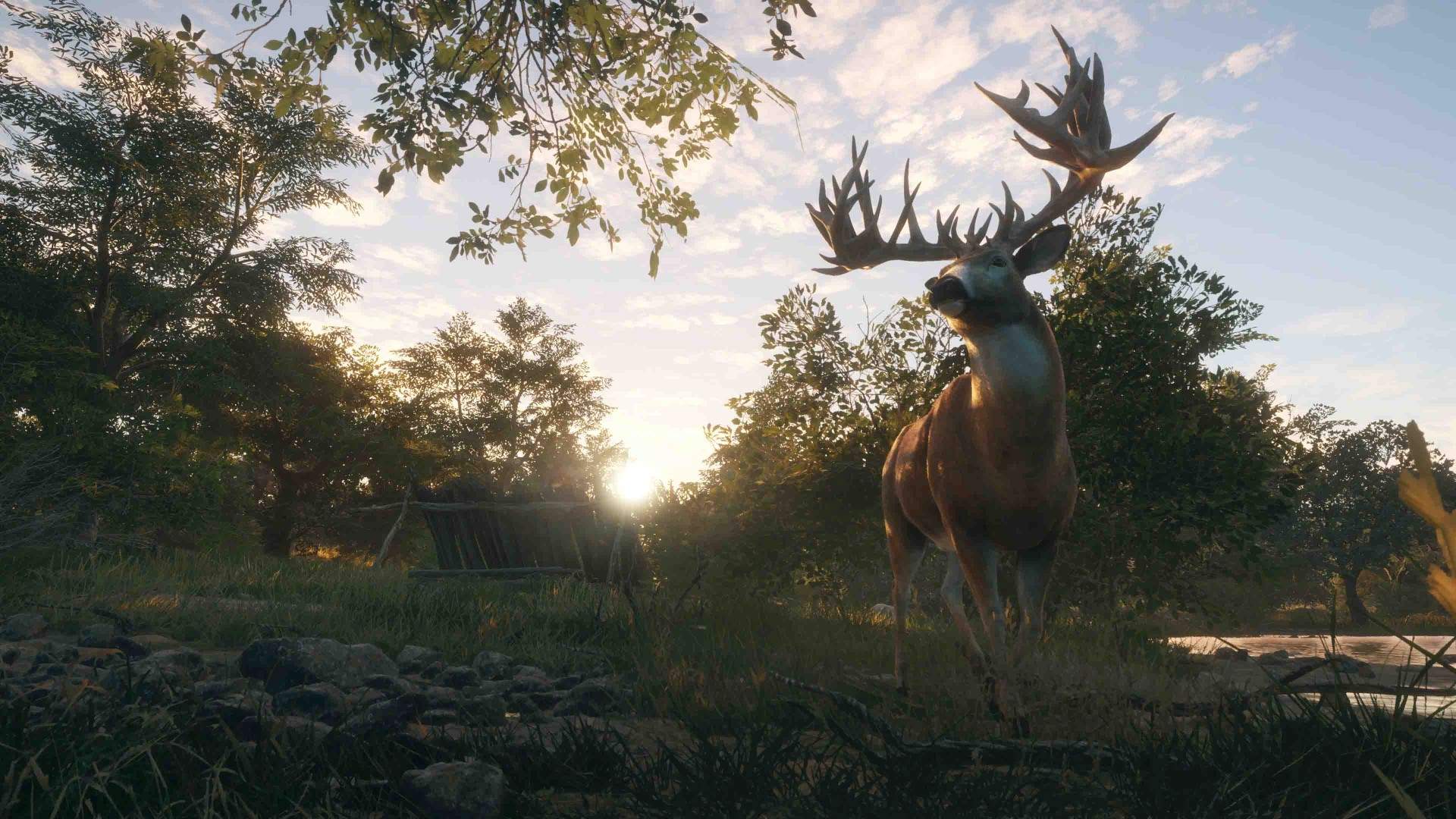 theHunter: Call of the Wild - Rancho Del Arroyo